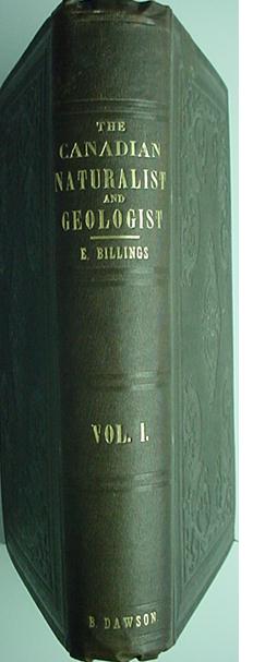 Billings-1.jpg (52060 octets)
