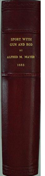 Mayer.jpg (59129 octets)