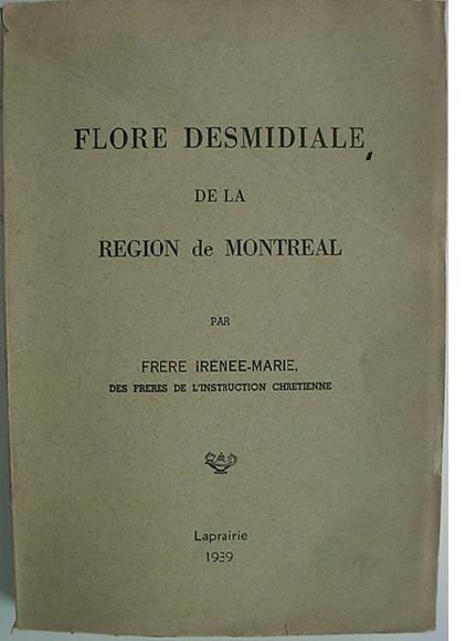 irenee.jpg (42928 octets)