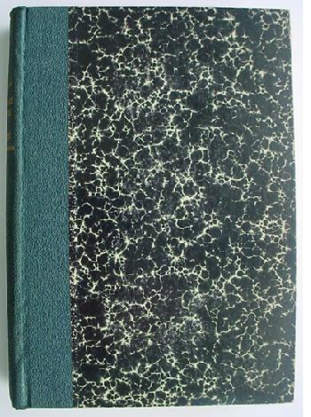 morice-2.jpg (74156 octets)