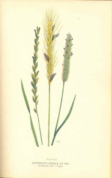 clark-4.jpg (122115 octets)