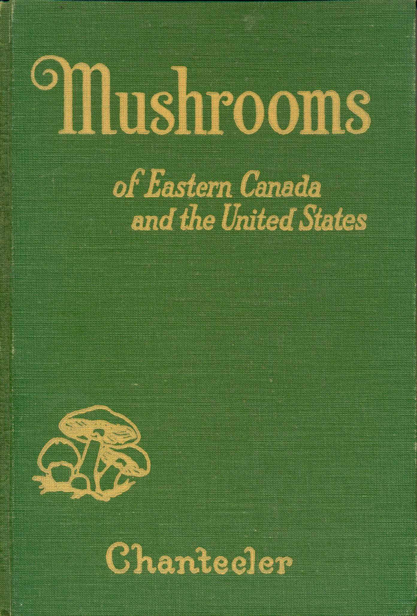 pomerleau251.jpg (402595 octets)